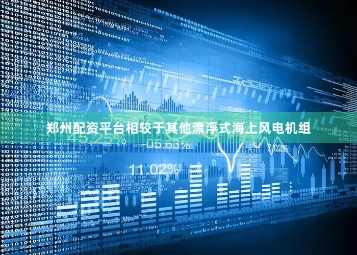 郑州配资平台相较于其他漂浮式海上风电机组
