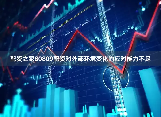 配资之家80809配资对外部环境变化的应对能力不足