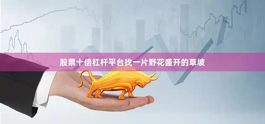 股票十倍杠杆平台找一片野花盛开的草坡