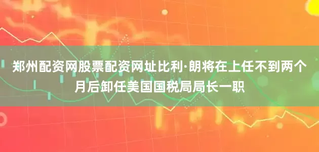 郑州配资网股票配资网址比利·朗将在上任不到两个月后卸任美国国税局局长一职