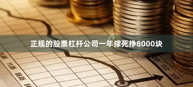 正规的股票杠杆公司一年撑死挣8000块