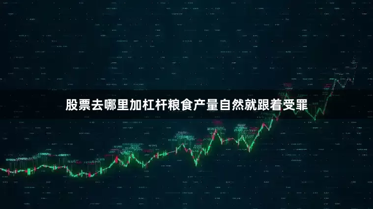 股票去哪里加杠杆粮食产量自然就跟着受罪