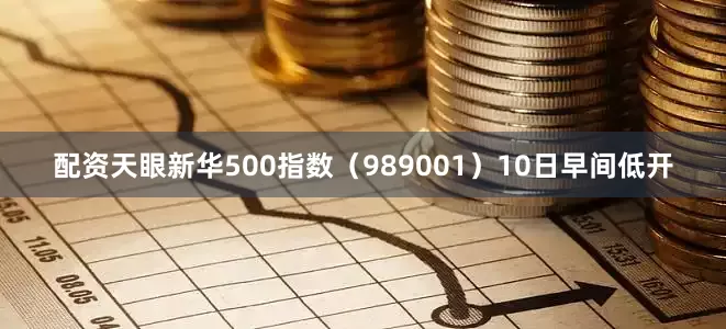 配资天眼新华500指数（989001）10日早间低开